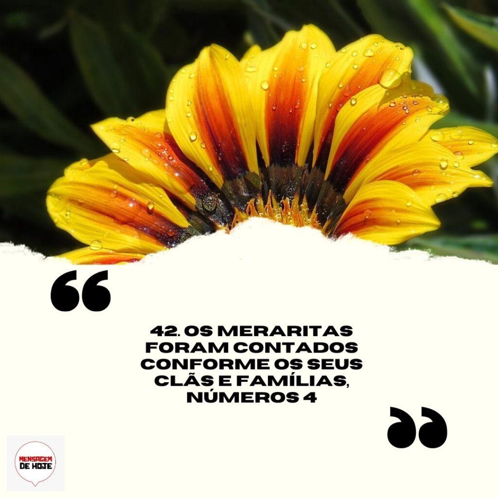 Salmos 05 de Abril de 2023 1