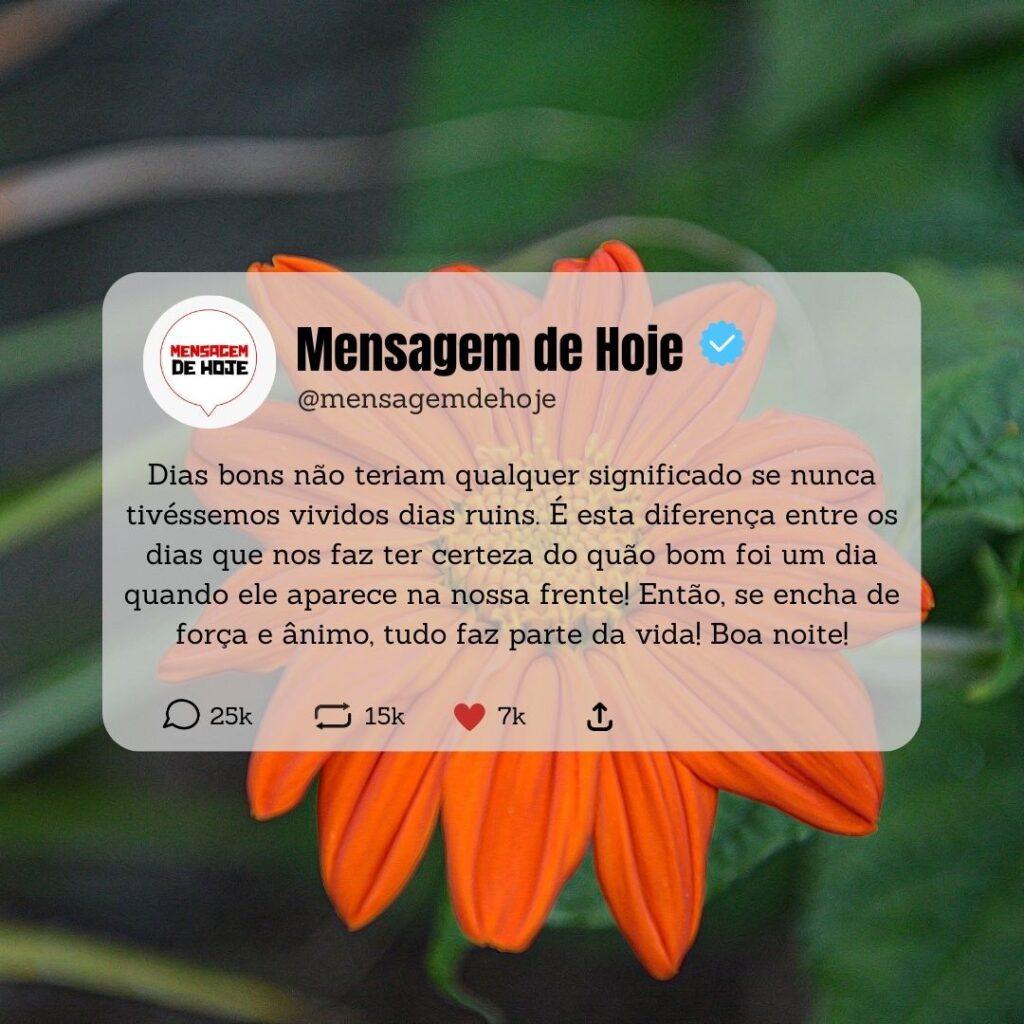 Boa Noite 09 de Abril de 2023 3