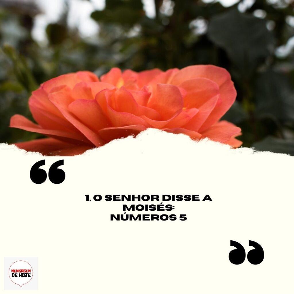 Salmos 06 de Abril de 2023 17