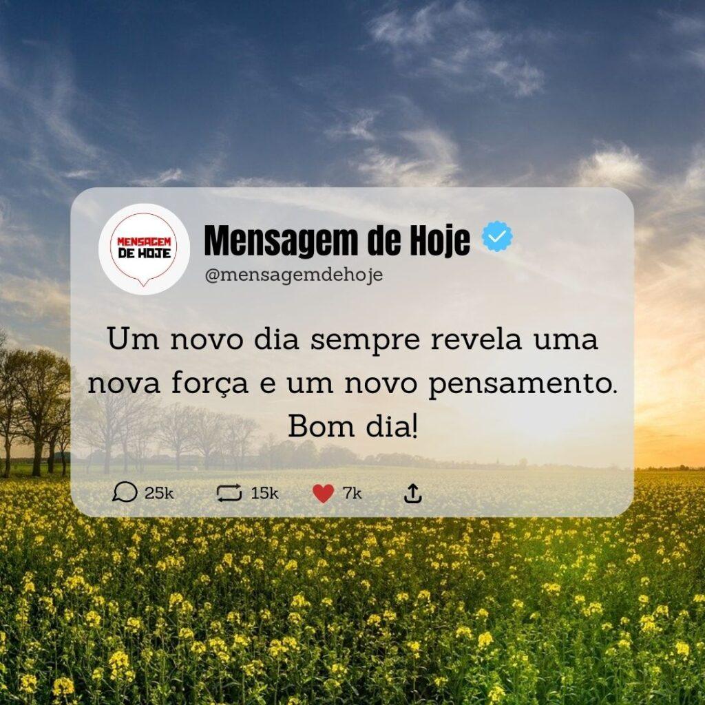 Bom Dia 12 de Abril de 2023 19