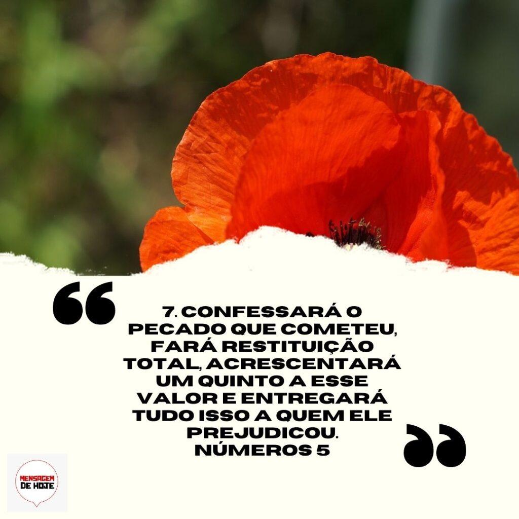 Salmos 07 de Abril de 2023 9