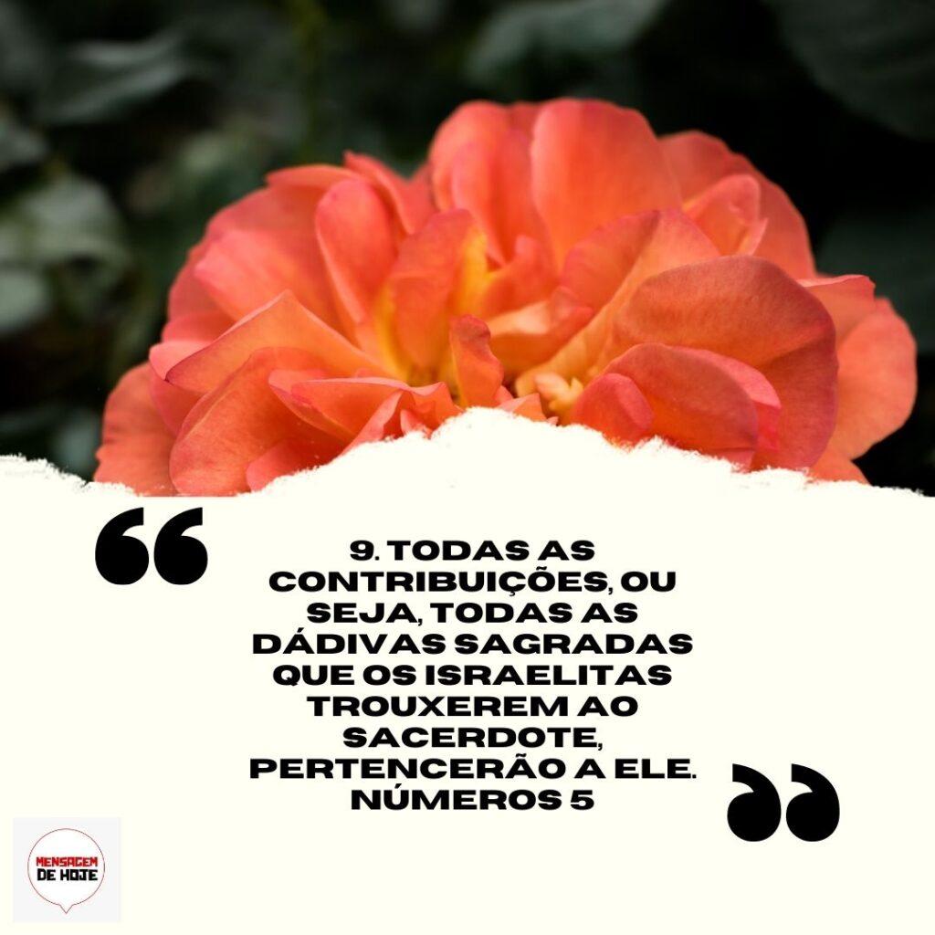 Salmos 07 de Abril de 2023 13