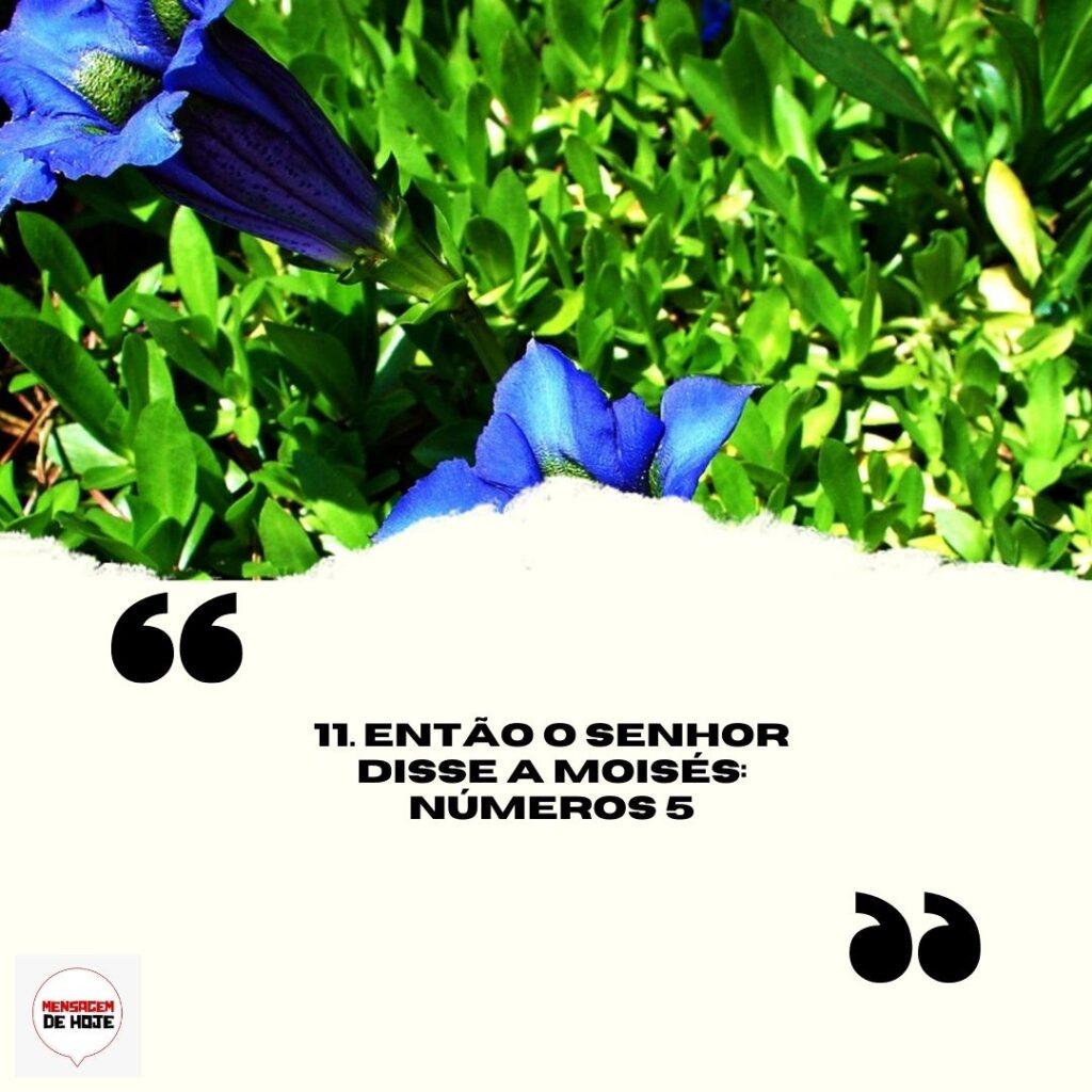 Salmos 07 de Abril de 2023 17