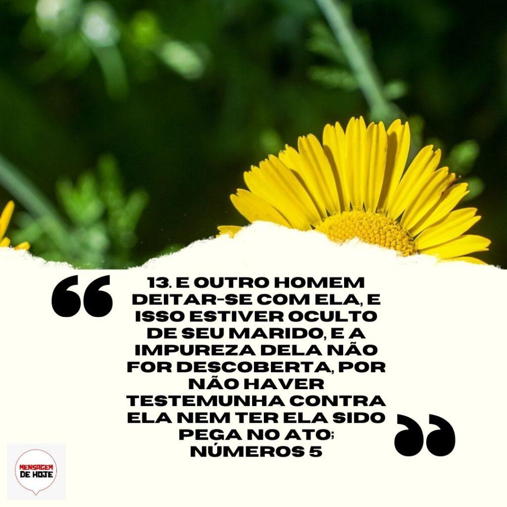 Salmos 07 de Abril de 2023 1