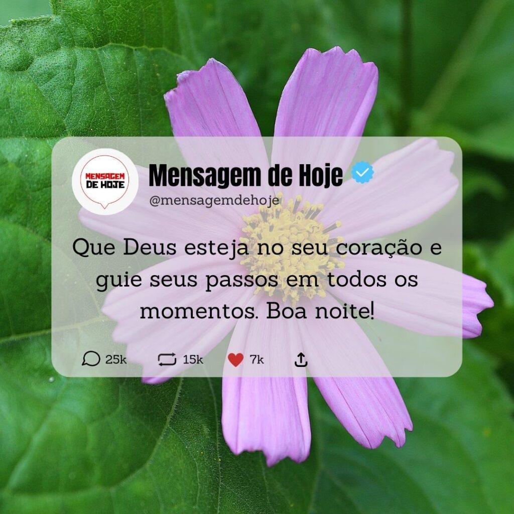 Boa Noite 11 de Abril de 2023 3