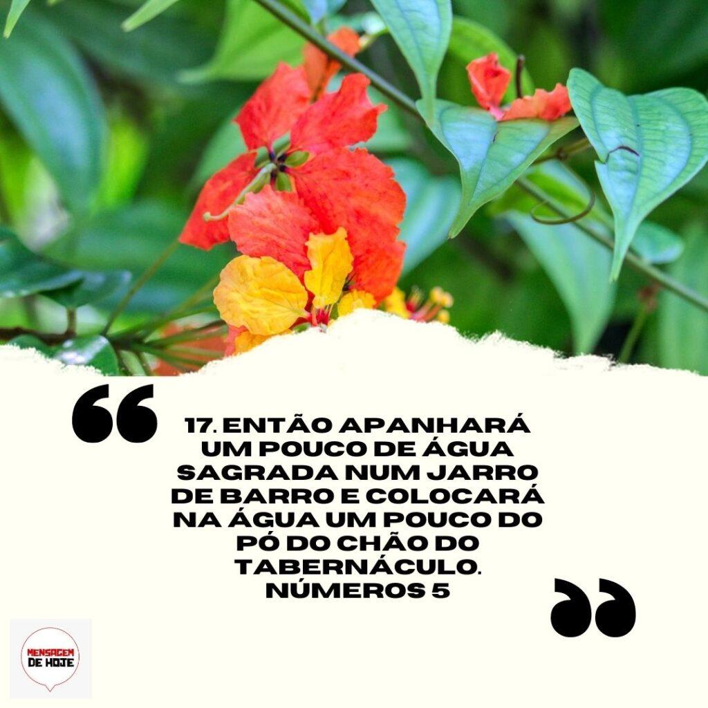 Salmos 08 de Abril de 2023 9