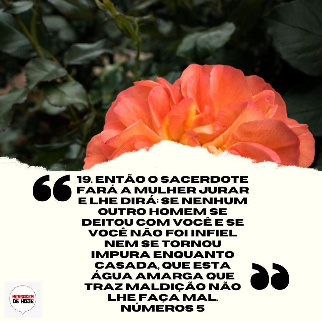 Salmos 08 de Abril de 2023 13
