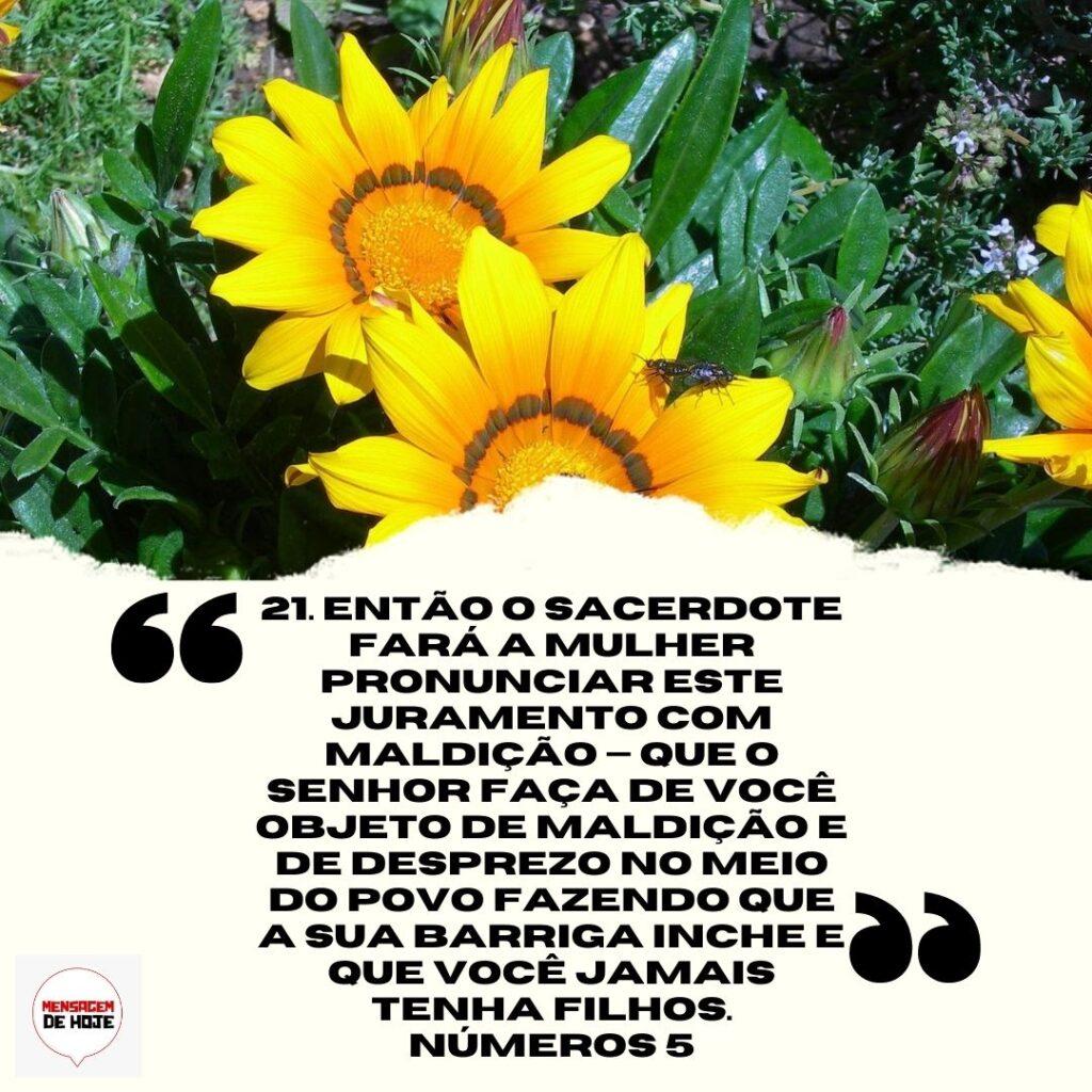 Salmos 08 de Abril de 2023 17