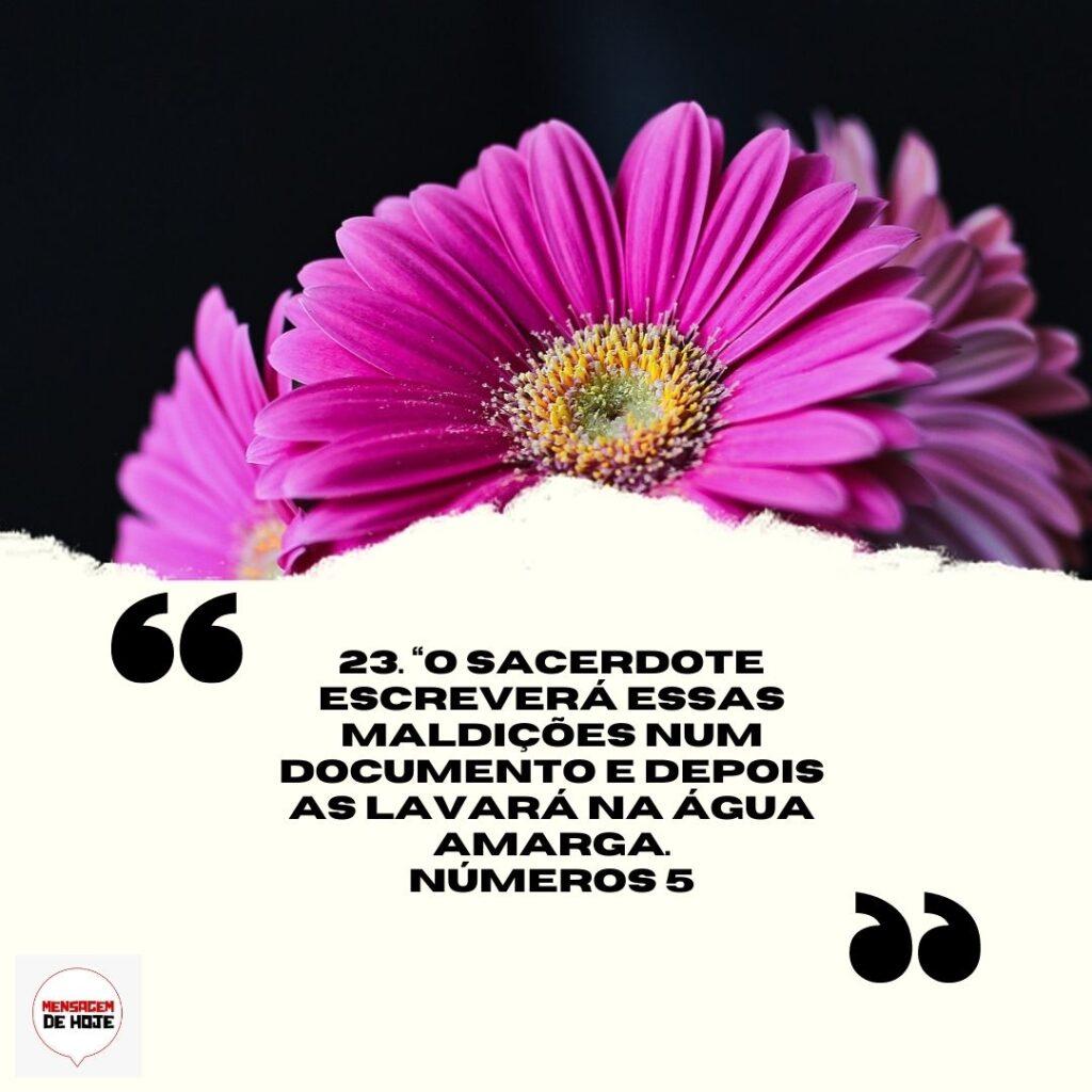 Salmos 08 de Abril de 2023 1