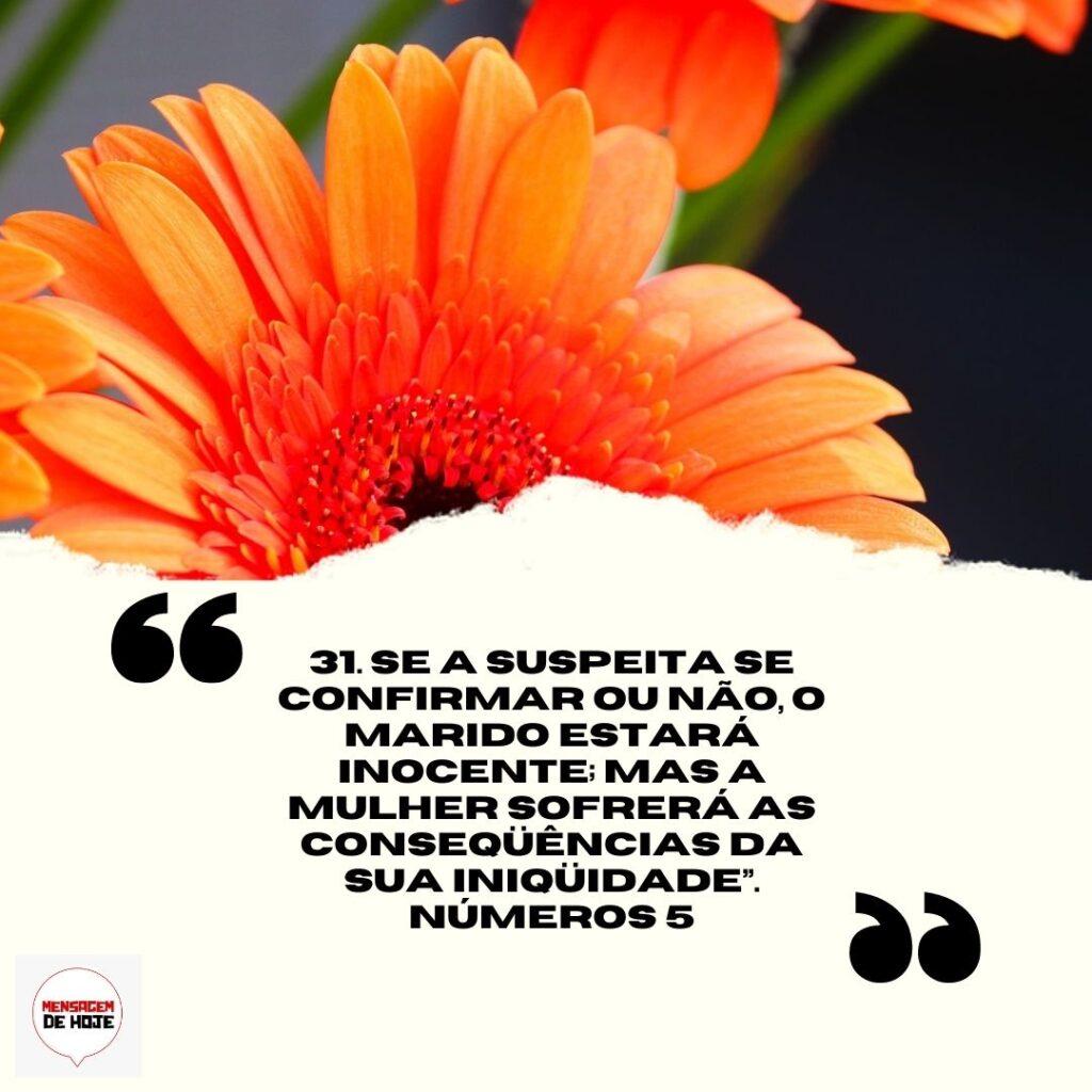 Salmos 09 de Abril de 2023 17