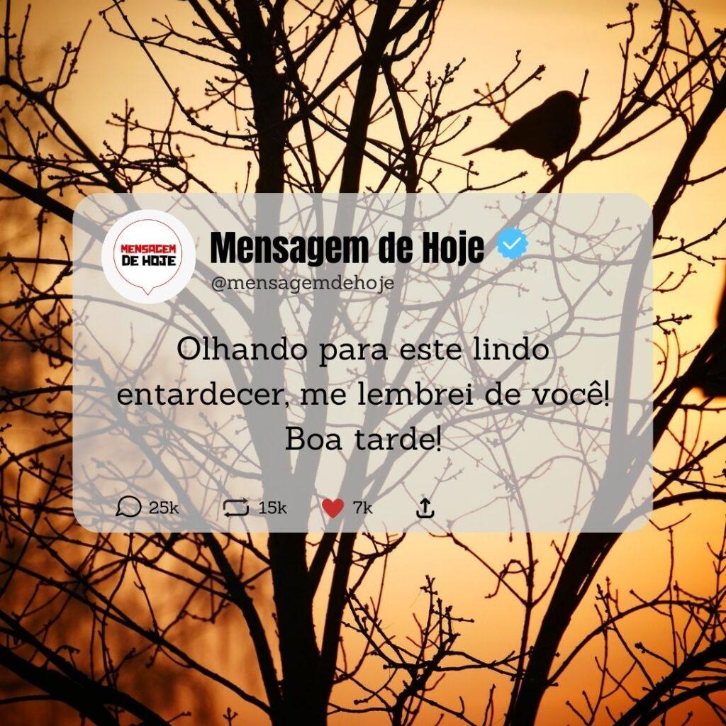 Boa Tarde 24 de Abril de 2023 17