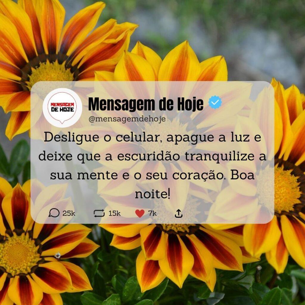 Boa Noite 15 de Abril de 2023 5