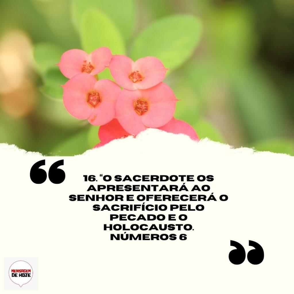 Salmos 11 de Abril de 2023 9