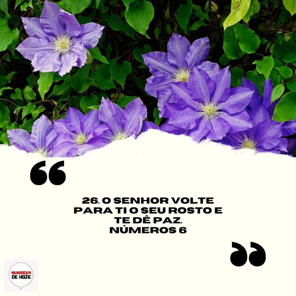 Salmos 12 de Abril de 2023 9