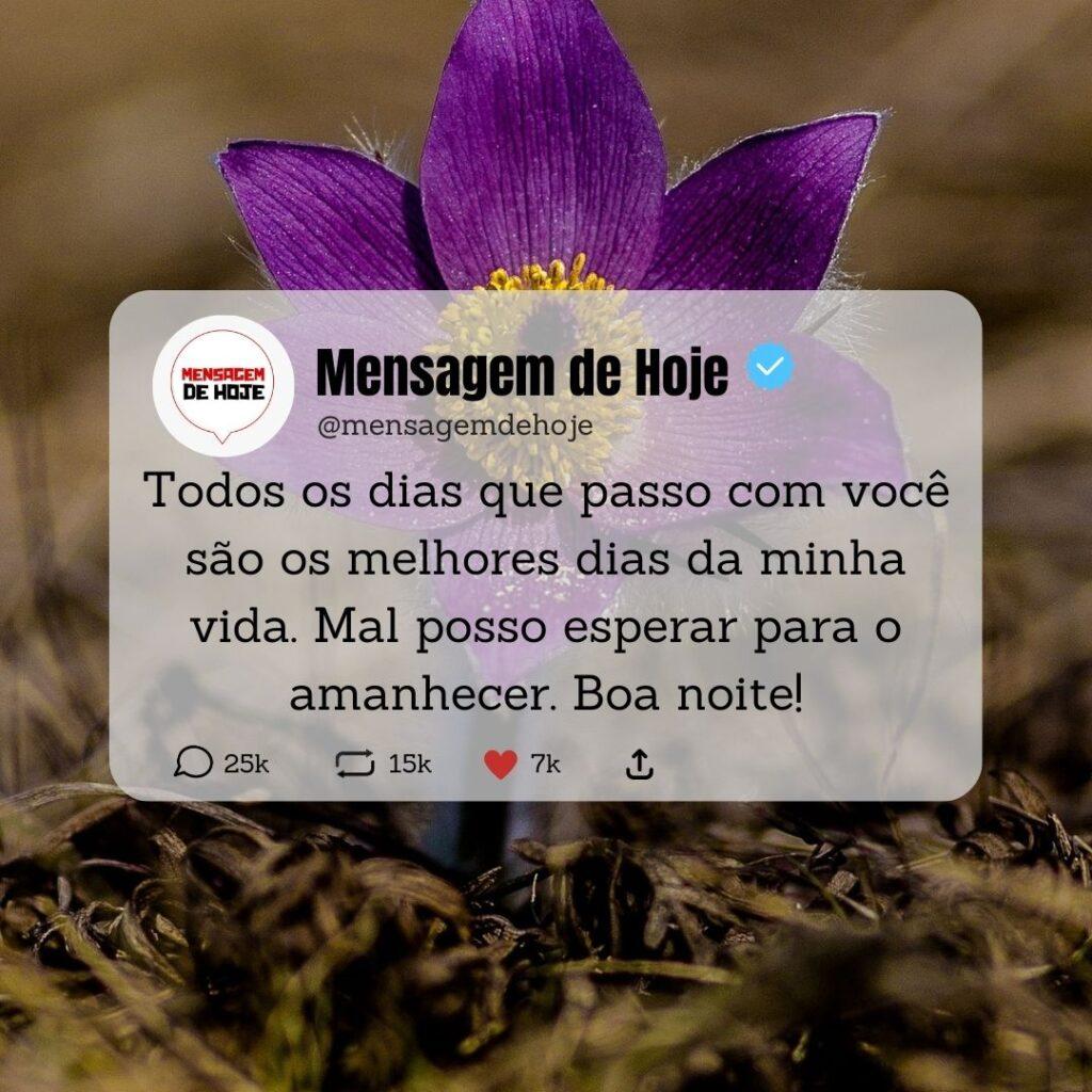 Boa Noite 16 de Abril de 2023 9