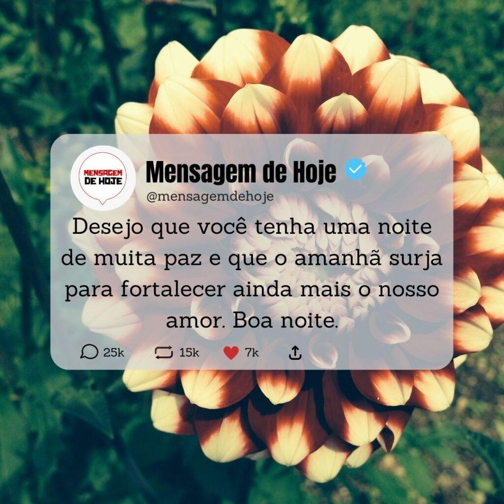 Boa Noite 16 de Abril de 2023 13