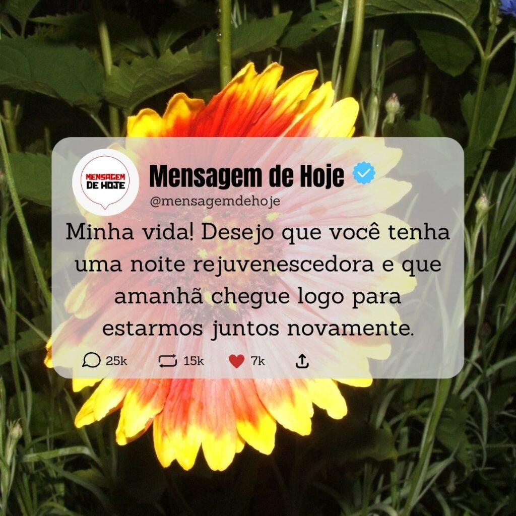 Boa Noite 16 de Abril de 2023 17