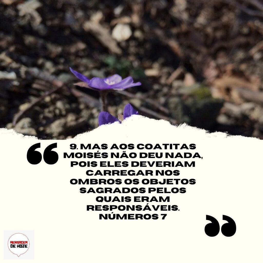 Salmos 13 de Abril de 2023 9