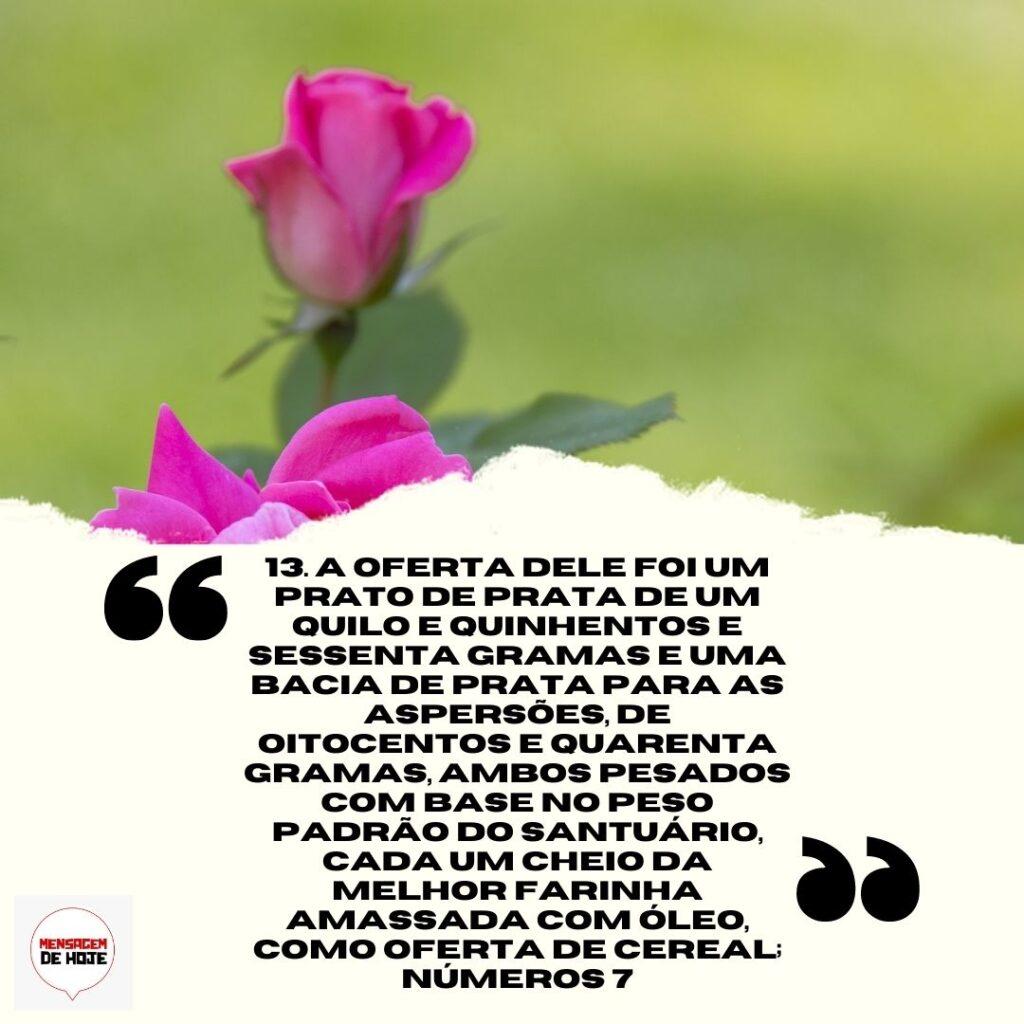 Salmos 13 de Abril de 2023 17