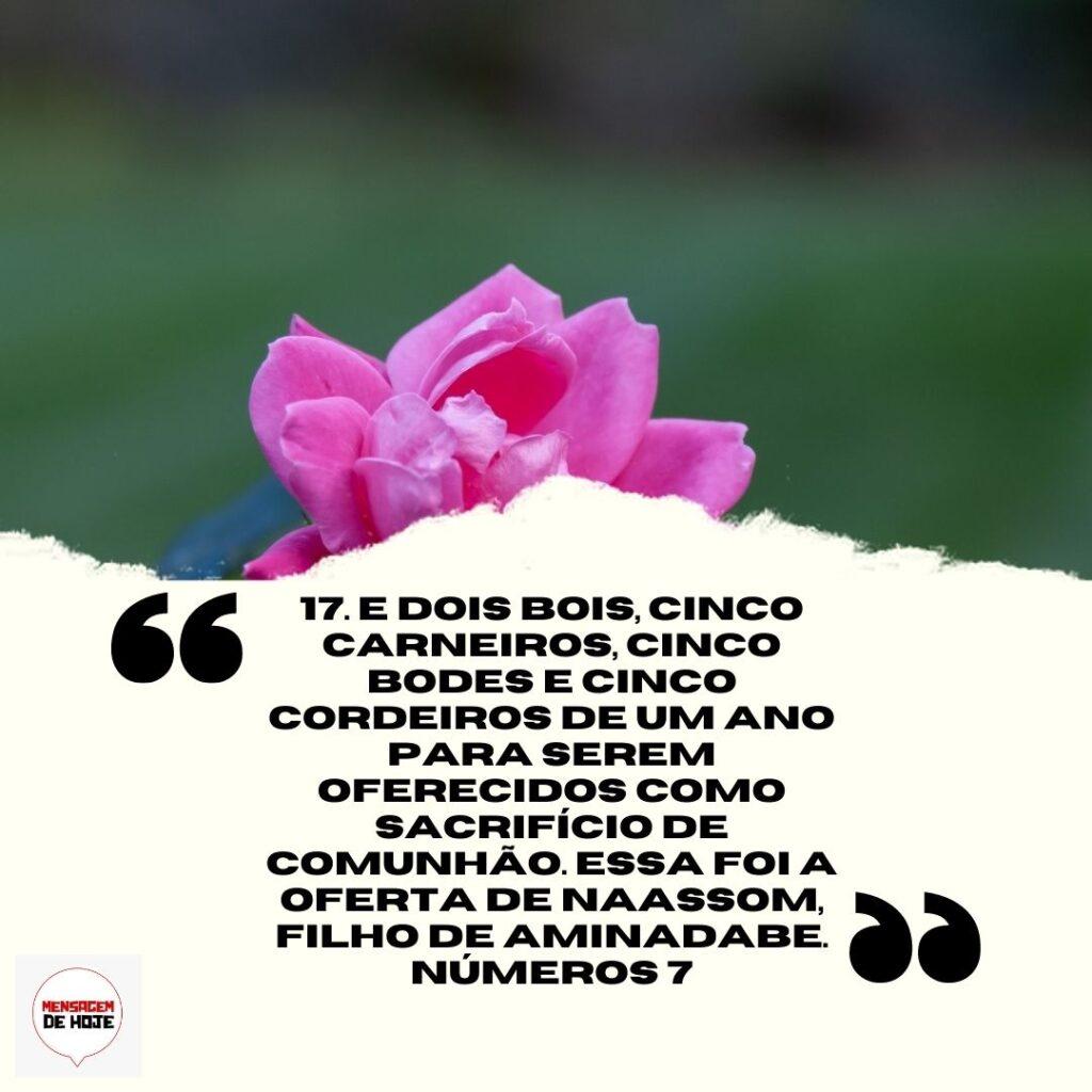 Salmos 14 de Abril de 2023 5