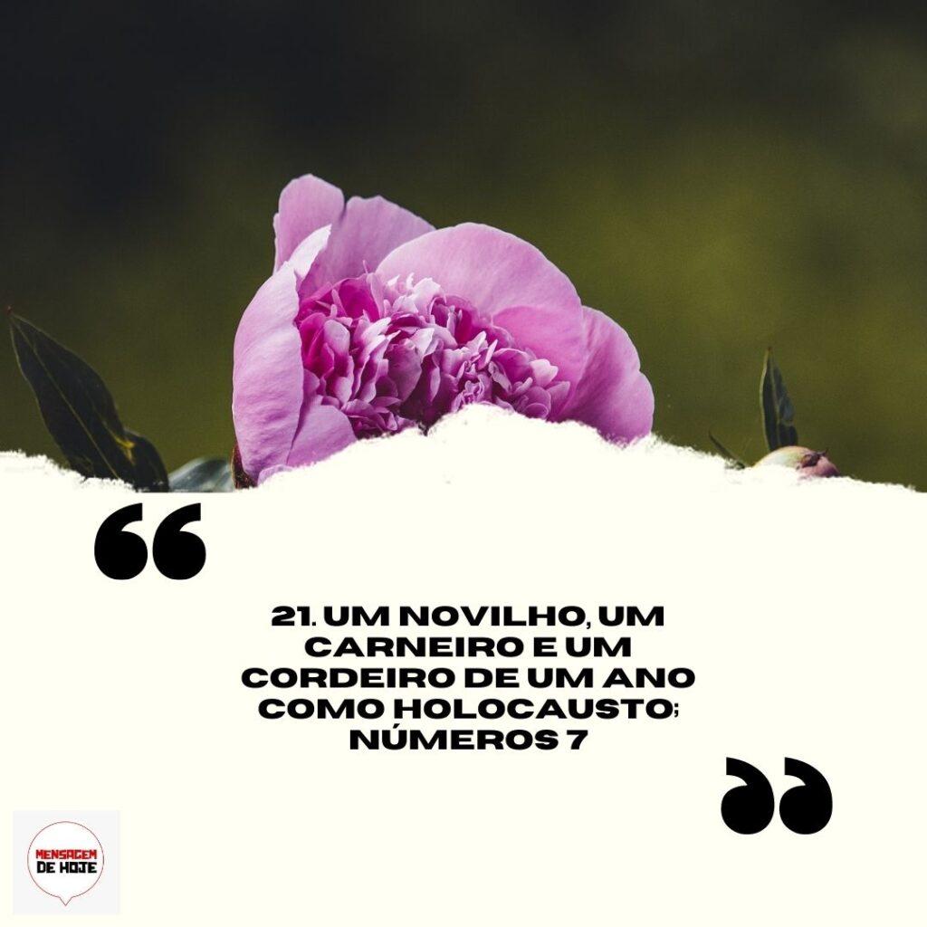 Salmos 14 de Abril de 2023 13