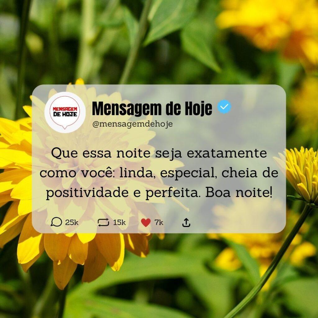 Boa Noite 18 de Abril de 2023 13