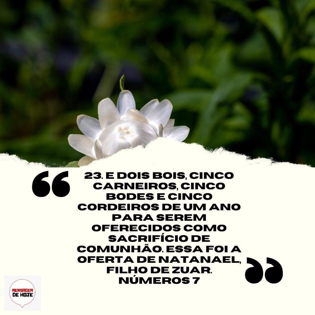 Salmos 14 de Abril de 2023 17
