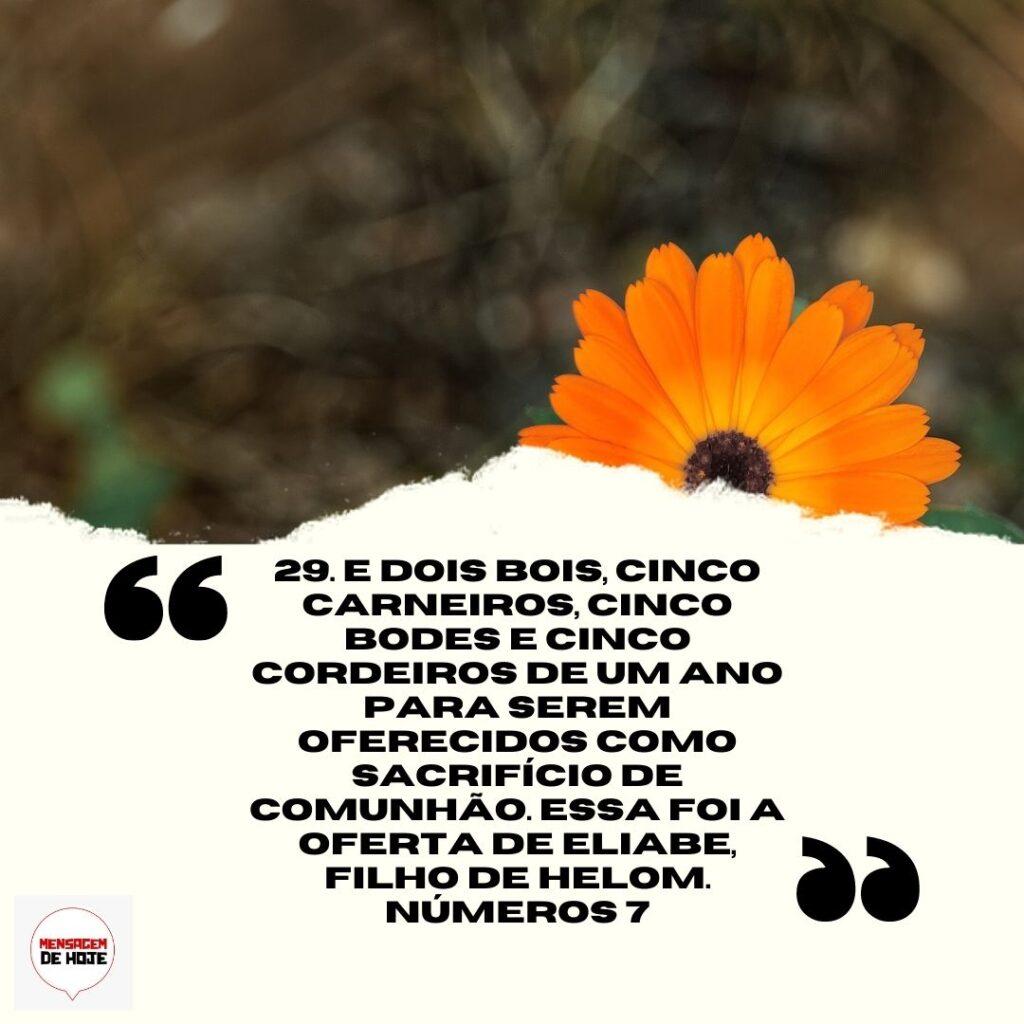Salmos 15 de Abril de 2023 9