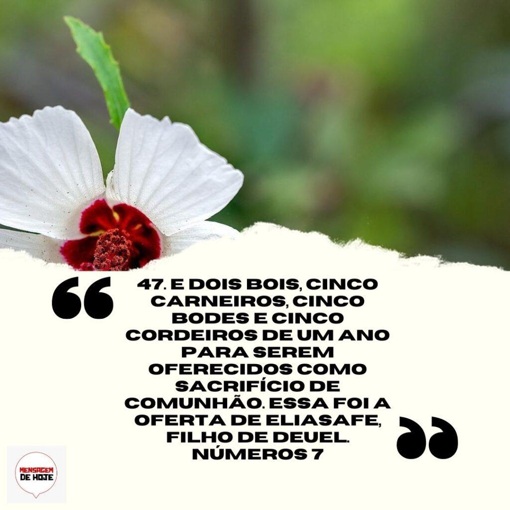 Salmos 17 de Abril de 2023 5