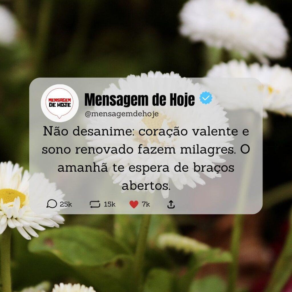 Boa Noite 21 de Abril de 2023 5