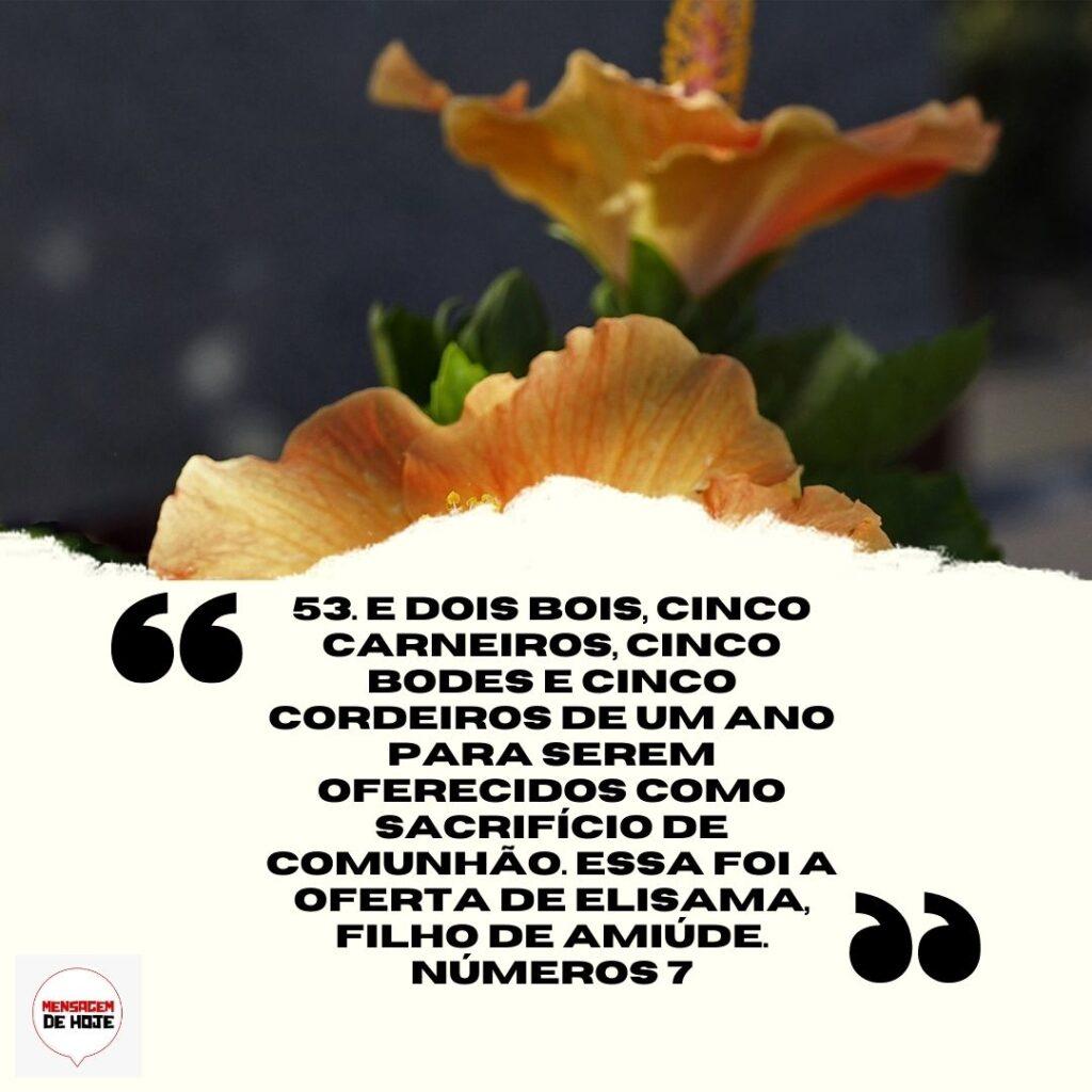 Salmos 17 de Abril de 2023 17