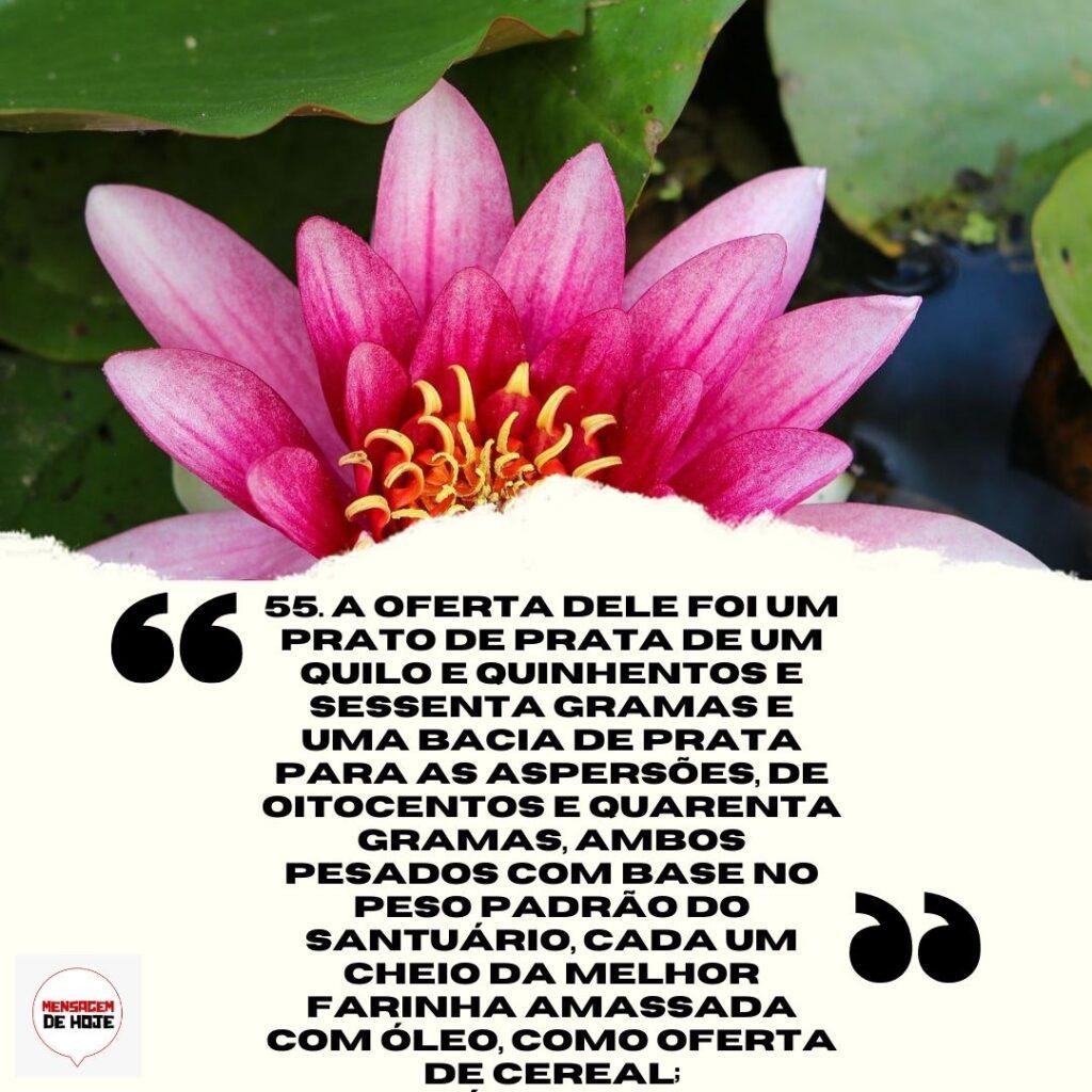 Salmos 17 de Abril de 2023 1