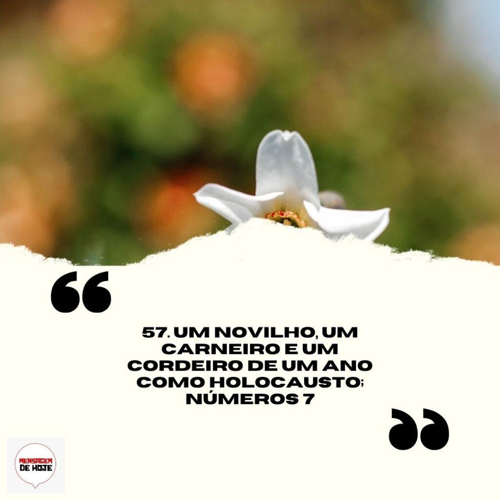 Salmos 18 de Abril de 2023 5