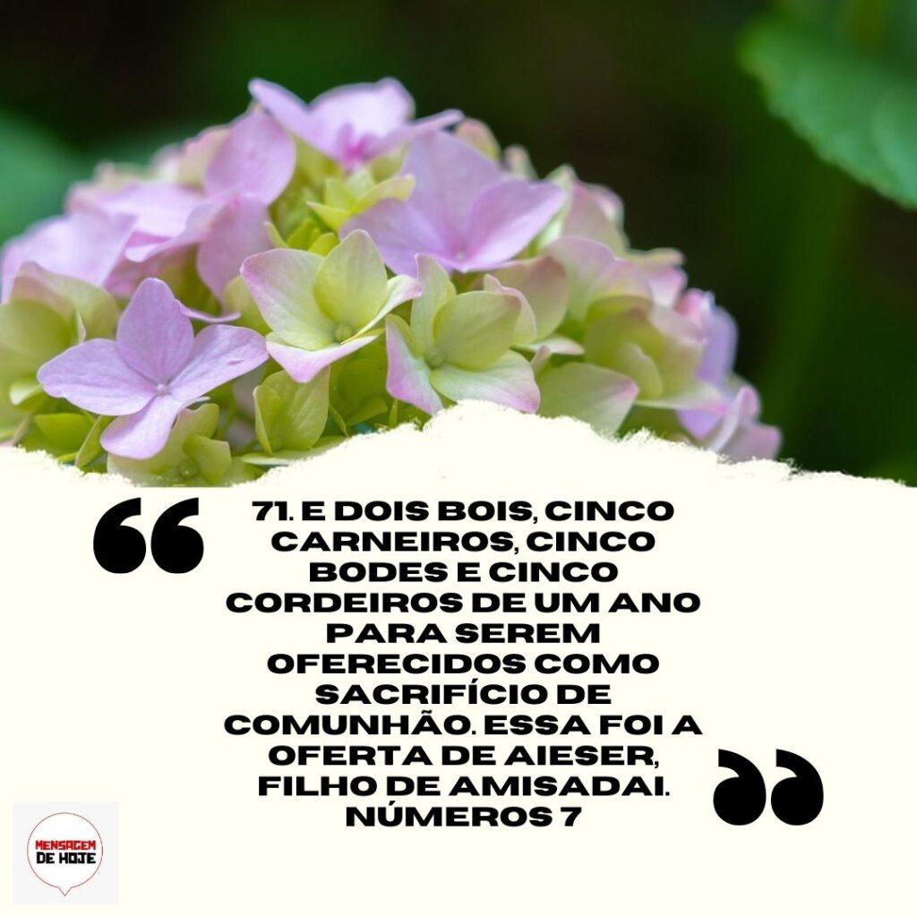Salmos 19 de Abril de 2023 13