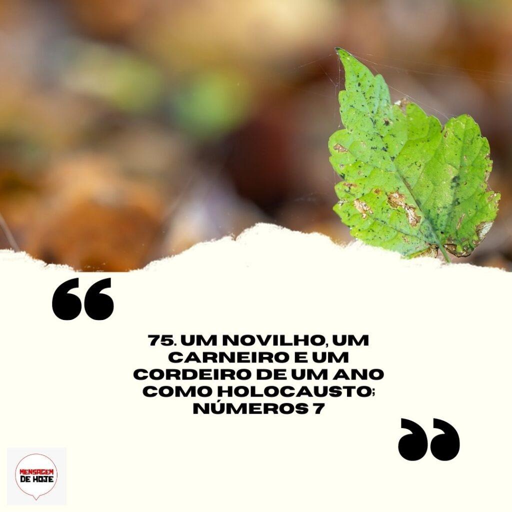 Salmos 19 de Abril de 2023 1