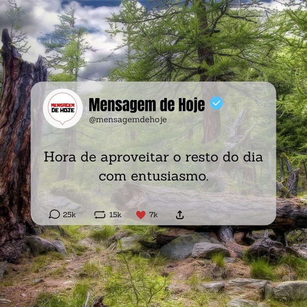 Boa Tarde 12 de Abril de 2023 3