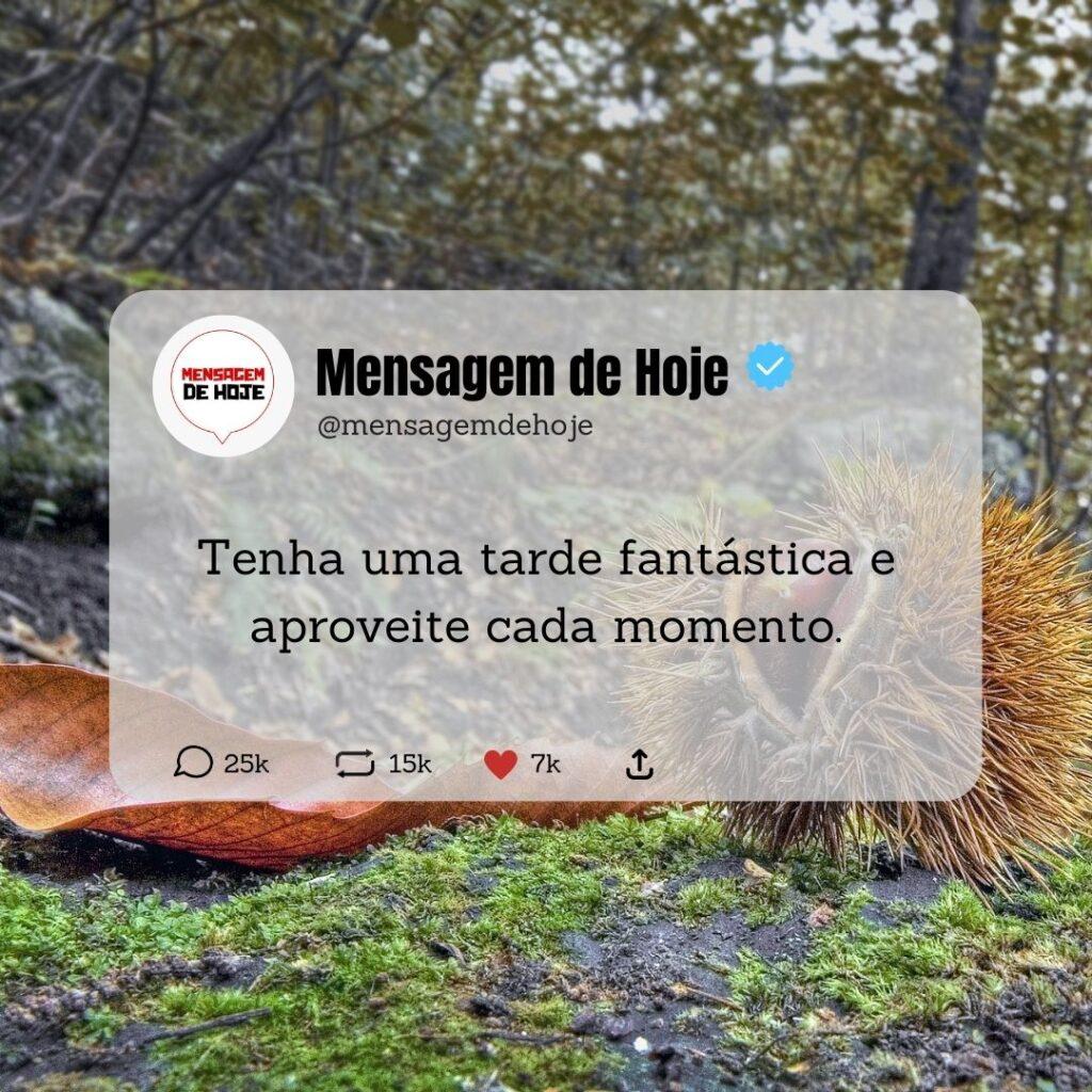 Boa Tarde 11 de Abril de 2023 13