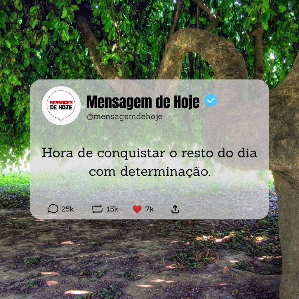 Boa Tarde 11 de Abril de 2023 15