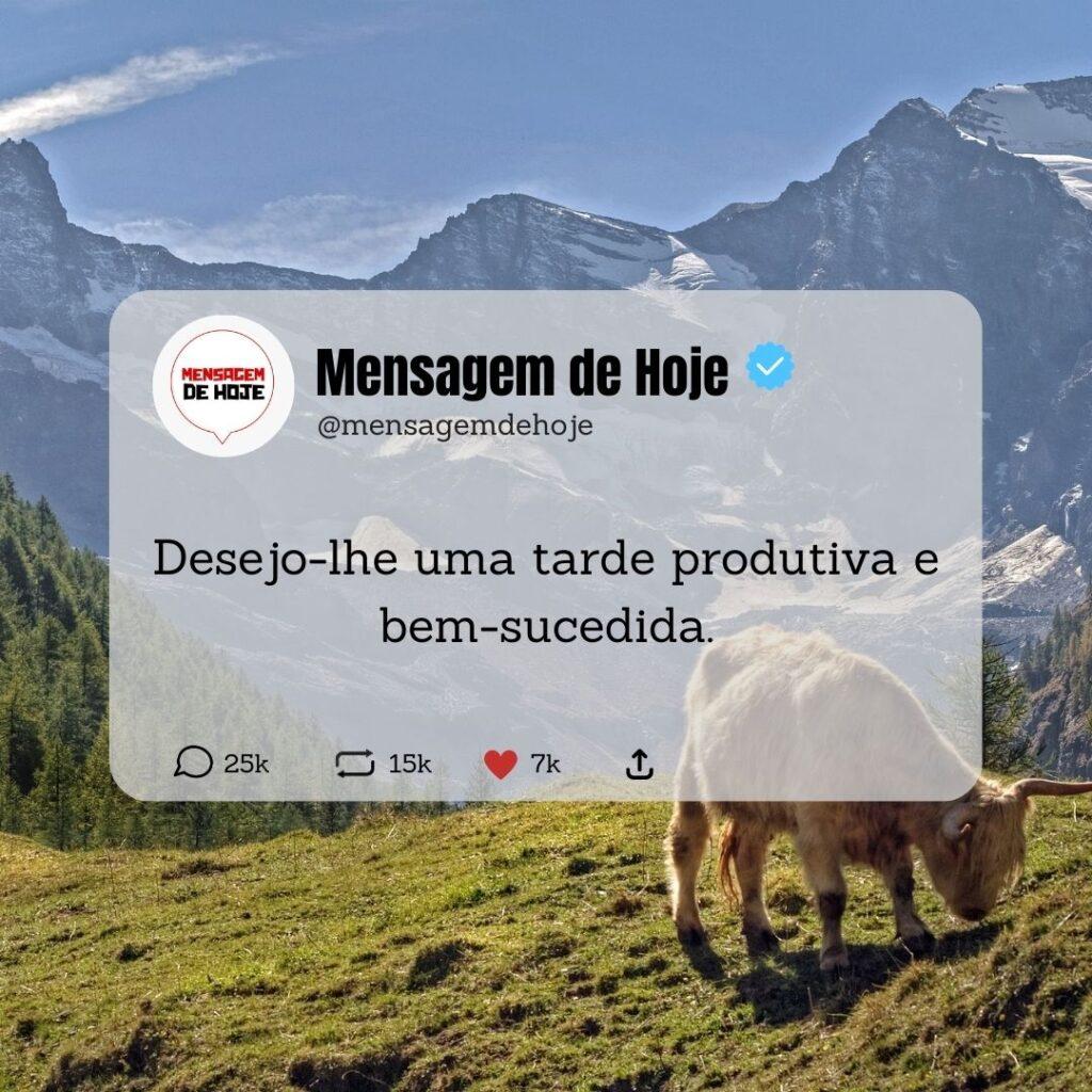 Boa Tarde 11 de Abril de 2023 17