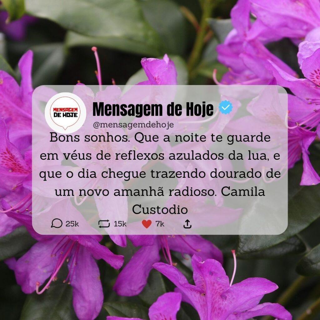 Boa Noite 28 de Abril de 2023 1