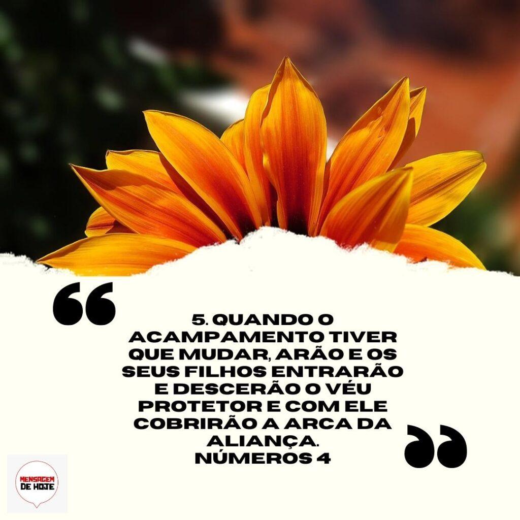 Salmos 02 de Abril de 2023 7
