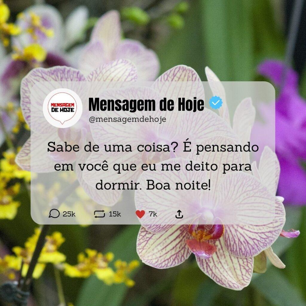 Boa Noite 06 de Abril de 2023 7