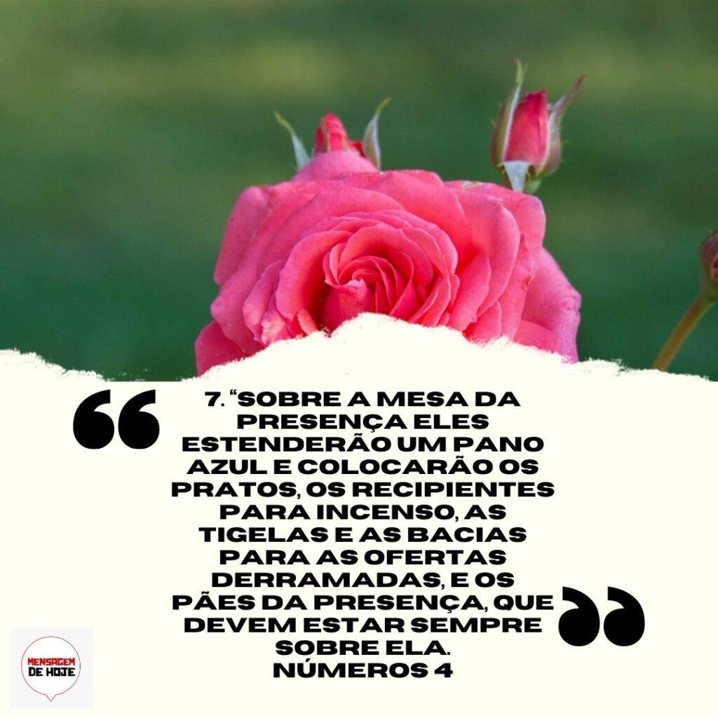 Salmos 02 de Abril de 2023 11