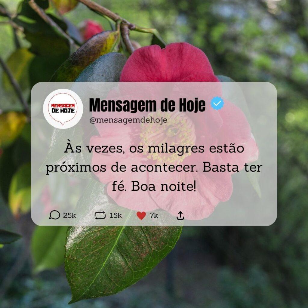 Boa Noite 06 de Abril de 2023 11