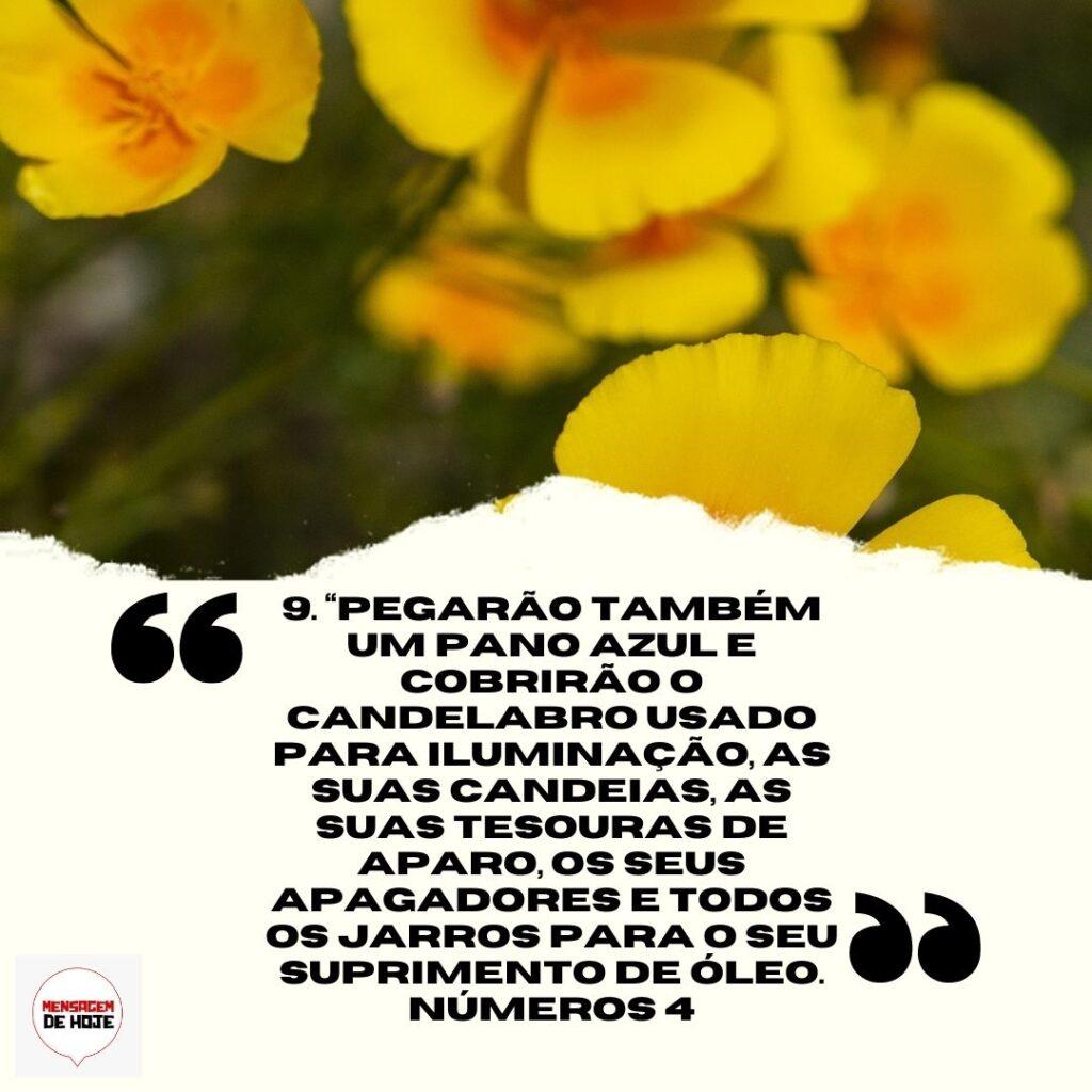 Salmos 02 de Abril de 2023 15