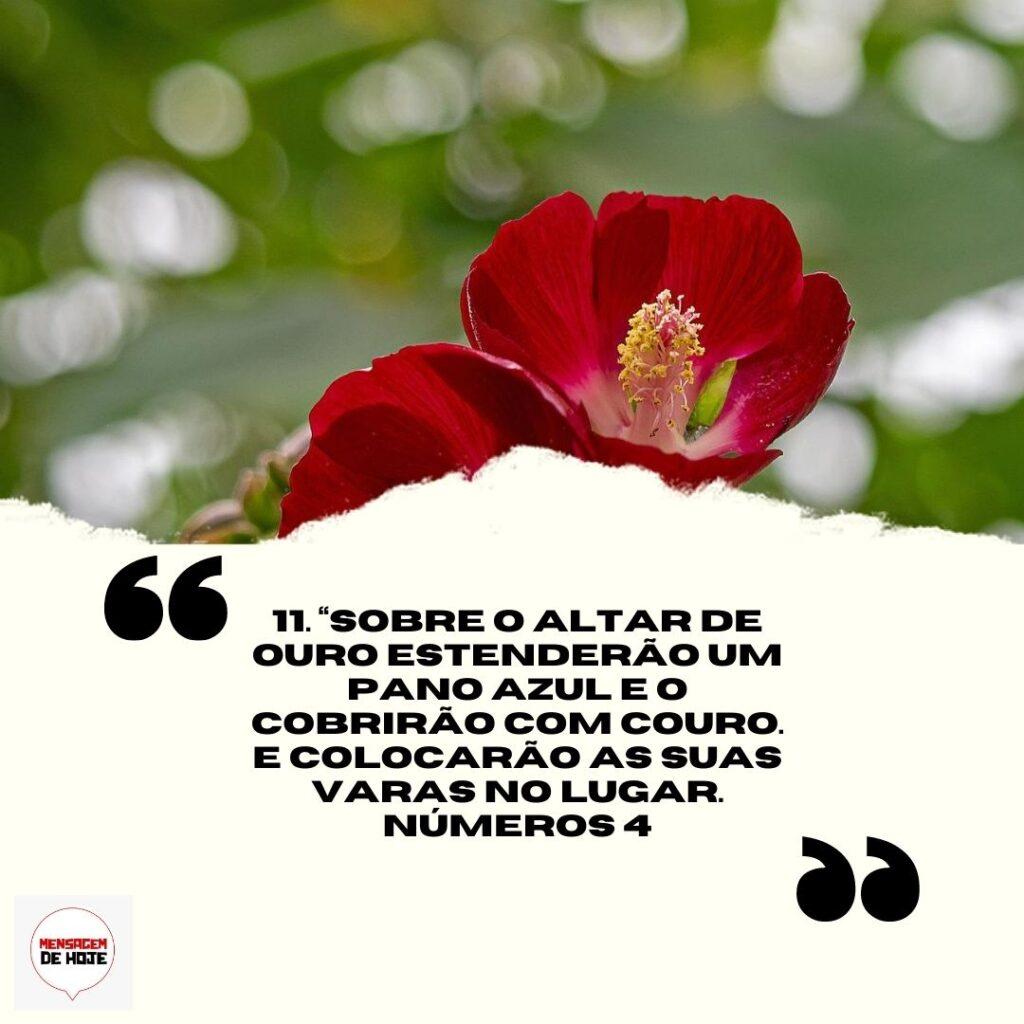 Salmos 02 de Abril de 2023 19