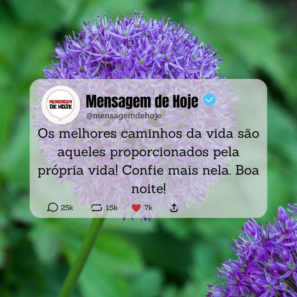 Boa Noite 06 de Abril de 2023 19
