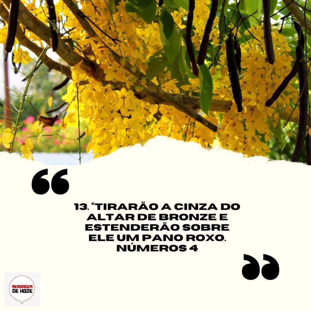 Salmos 02 de Abril de 2023 3