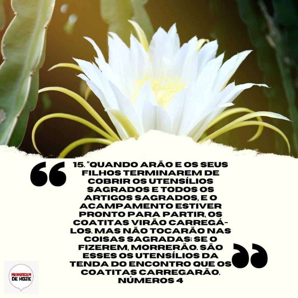 Salmos 03 de Abril de 2023 7