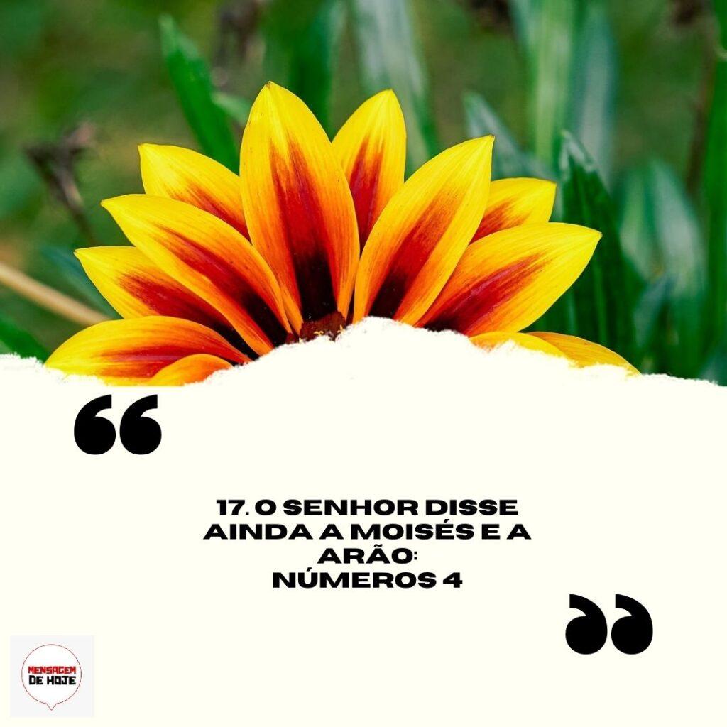 Salmos 03 de Abril de 2023 11